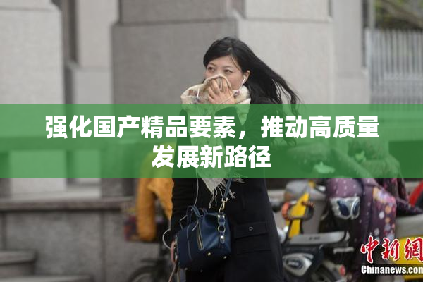 强化国产精品要素，推动高质量发展新路径