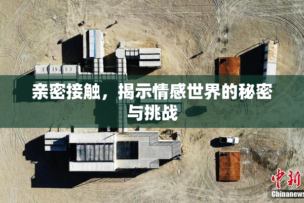 亲密接触，揭示情感世界的秘密与挑战