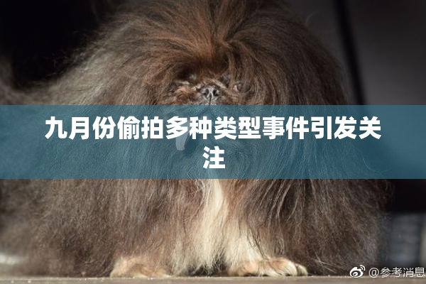 九月份偷拍多种类型事件引发关注