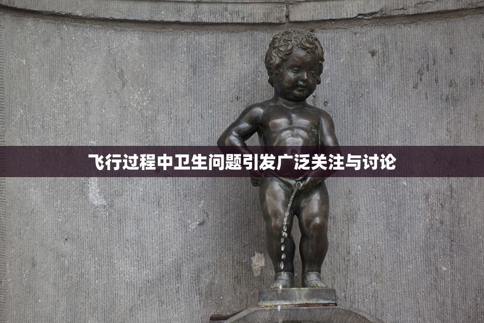 飞行过程中卫生问题引发广泛关注与讨论