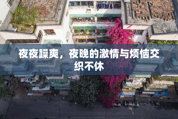 夜夜躁爽，夜晚的激情与烦恼交织不休