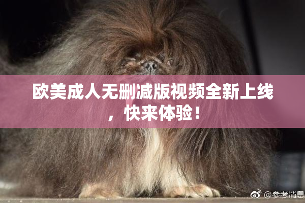 欧美成人无删减版视频全新上线，快来体验！