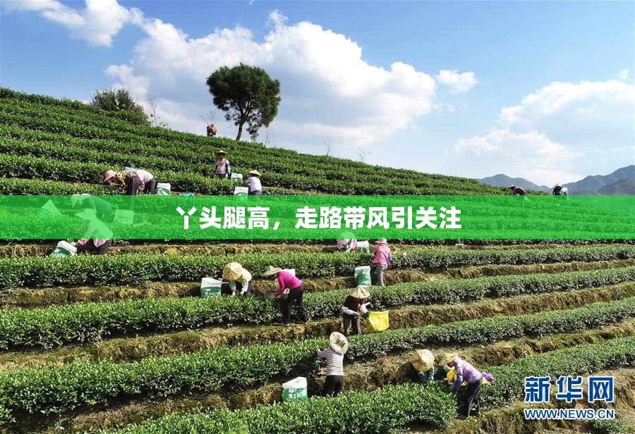 丫头腿高，走路带风引关注