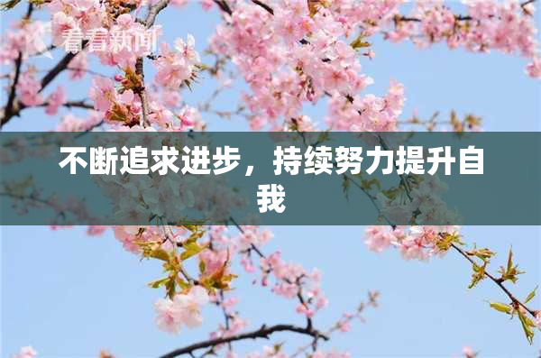 不断追求进步，持续努力提升自我