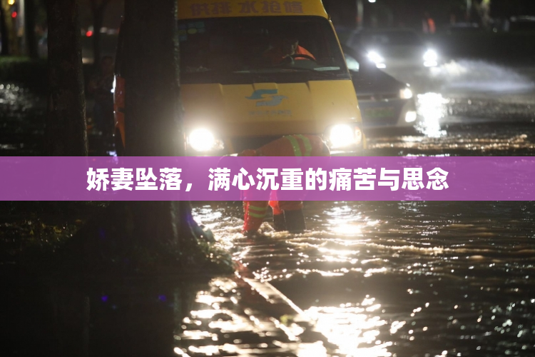 娇妻坠落，满心沉重的痛苦与思念