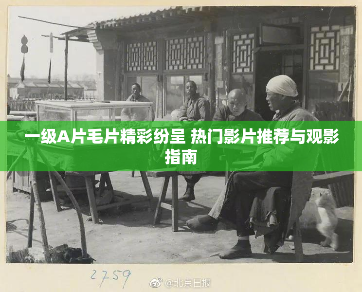 一级A片毛片精彩纷呈 热门影片推荐与观影指南
