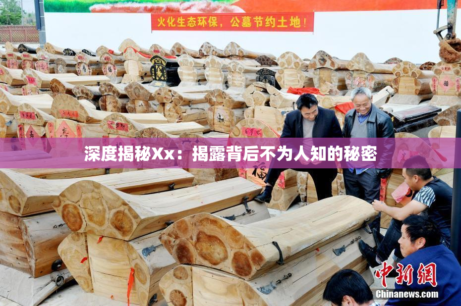 深度揭秘Xx：揭露背后不为人知的秘密