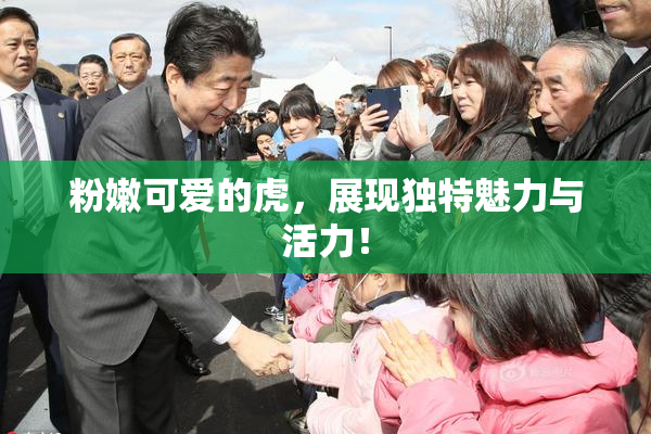 粉嫩可爱的虎，展现独特魅力与活力！