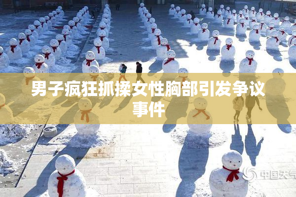 男子疯狂抓揉女性胸部引发争议事件