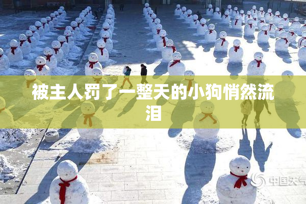 被主人罚了一整天的小狗悄然流泪