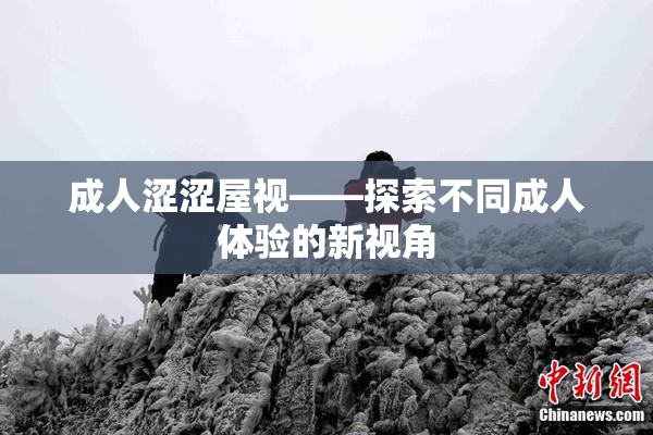 成人涩涩屋视——探索不同成人体验的新视角
