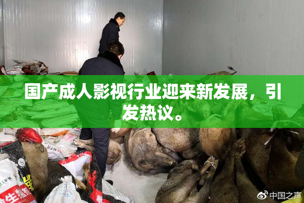 国产成人影视行业迎来新发展，引发热议。