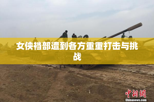 女侠裆部遭到各方重重打击与挑战