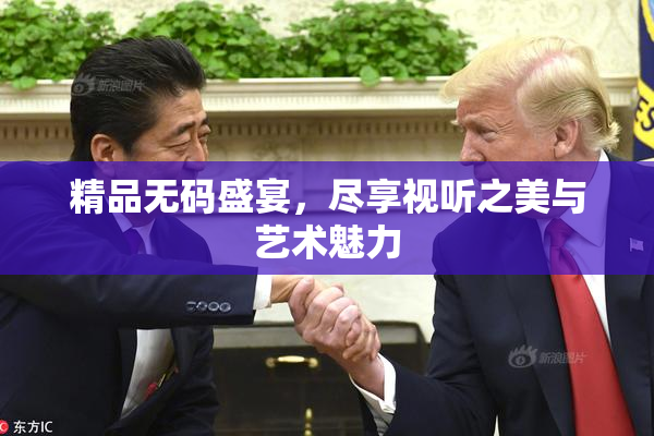 精品无码盛宴，尽享视听之美与艺术魅力