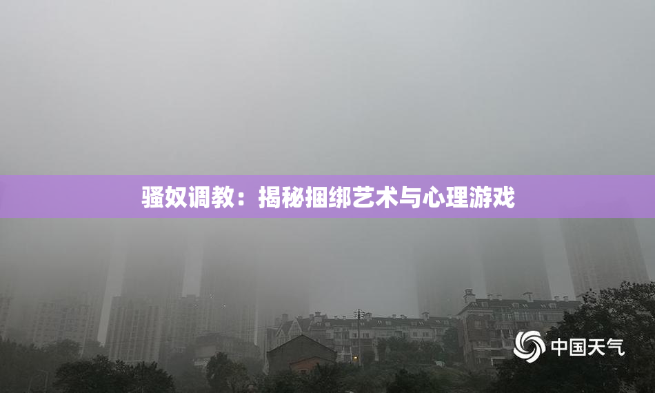 骚奴调教：揭秘捆绑艺术与心理游戏