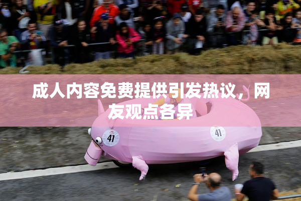 成人内容免费提供引发热议，网友观点各异