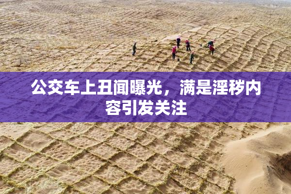 公交车上丑闻曝光，满是淫秽内容引发关注