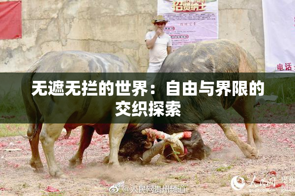 无遮无拦的世界：自由与界限的交织探索