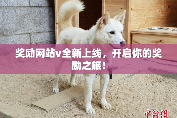 奖励网站v全新上线，开启你的奖励之旅！
