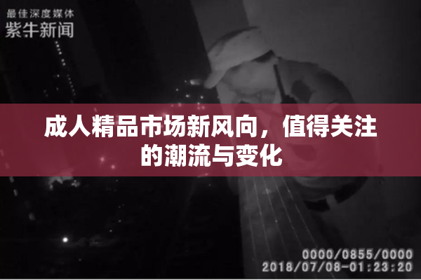 成人精品市场新风向，值得关注的潮流与变化
