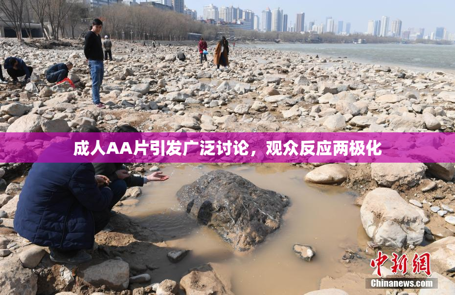 成人AA片引发广泛讨论，观众反应两极化