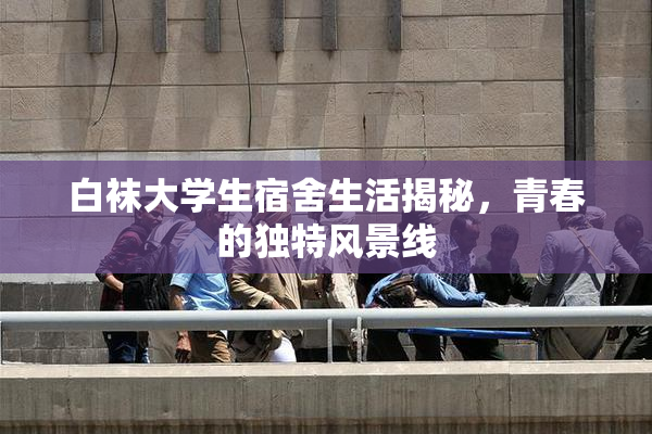 白袜大学生宿舍生活揭秘，青春的独特风景线