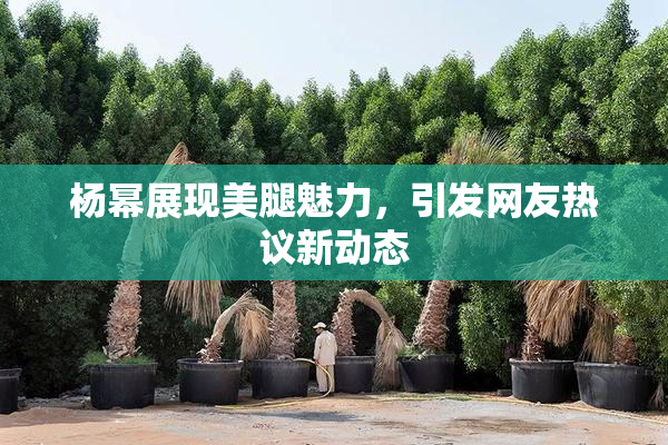 杨幂展现美腿魅力，引发网友热议新动态