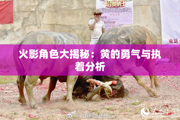 火影角色大揭秘：黄的勇气与执着分析
