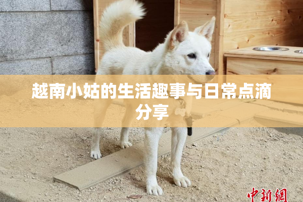 越南小姑的生活趣事与日常点滴分享