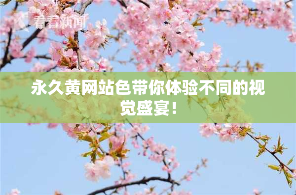 永久黄网站色带你体验不同的视觉盛宴！