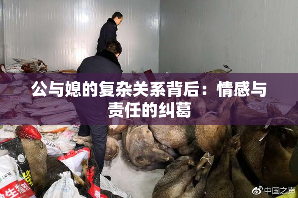 公与媳的复杂关系背后：情感与责任的纠葛