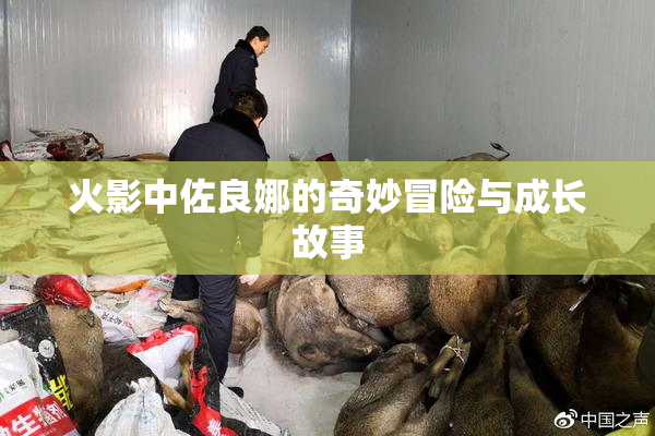 火影中佐良娜的奇妙冒险与成长故事