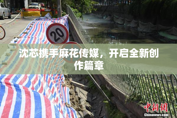 沈芯携手麻花传媒，开启全新创作篇章