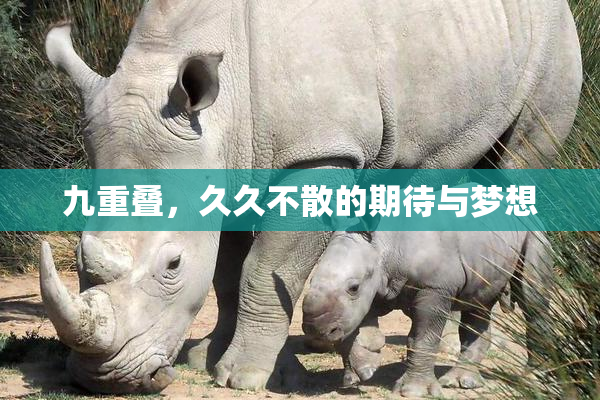 九重叠，久久不散的期待与梦想