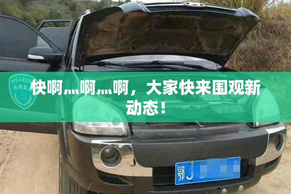 快啊灬啊灬啊，大家快来围观新动态！