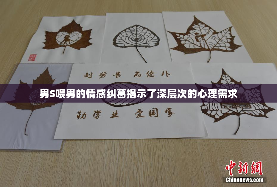 男S喂男的情感纠葛揭示了深层次的心理需求