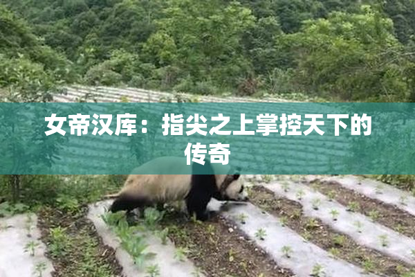 女帝汉库：指尖之上掌控天下的传奇