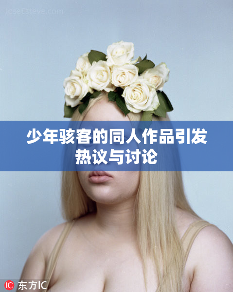 少年骇客的同人作品引发热议与讨论