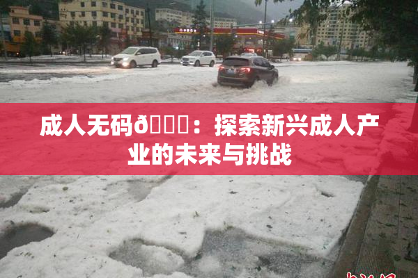 成人无码🔞：探索新兴成人产业的未来与挑战