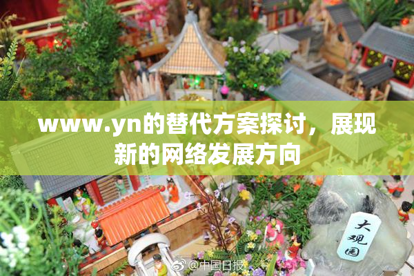 www.yn的替代方案探讨，展现新的网络发展方向