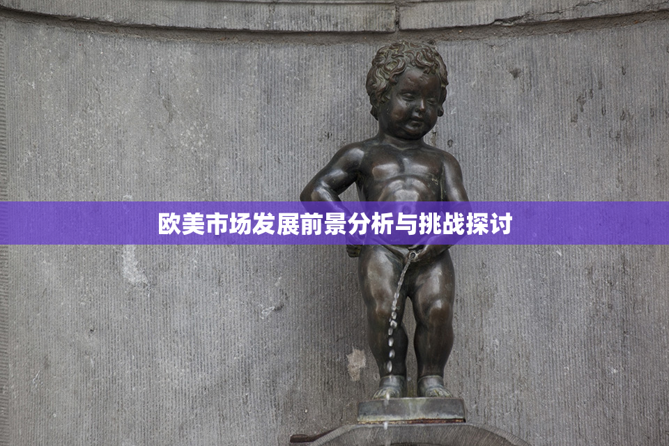 欧美市场发展前景分析与挑战探讨