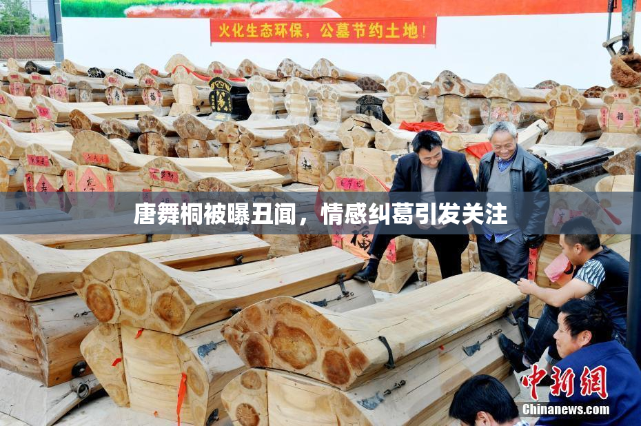 唐舞桐被曝丑闻，情感纠葛引发关注