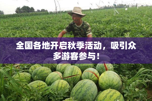 全国各地开启秋季活动，吸引众多游客参与！
