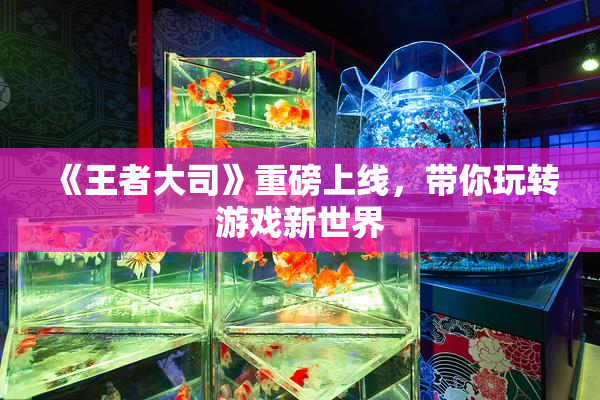 《王者大司》重磅上线，带你玩转游戏新世界