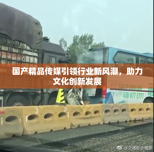 国产精品传媒引领行业新风潮，助力文化创新发展