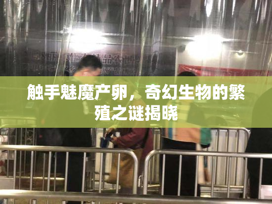 触手魅魔产卵，奇幻生物的繁殖之谜揭晓