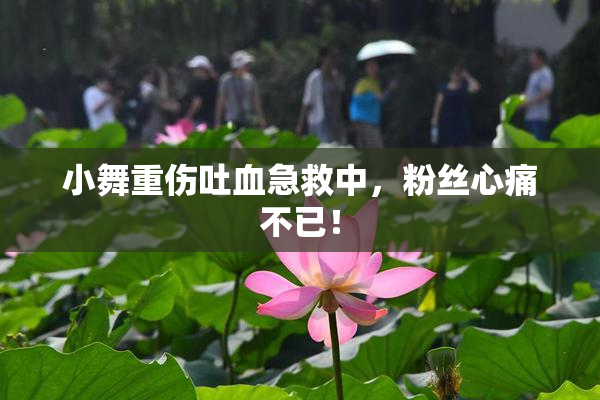 小舞重伤吐血急救中，粉丝心痛不已！