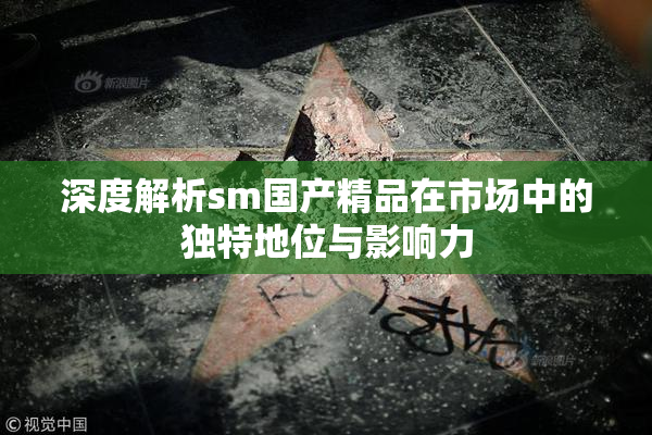 深度解析sm国产精品在市场中的独特地位与影响力