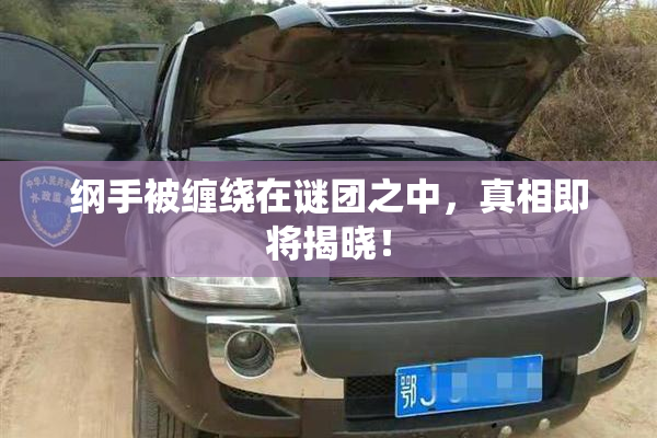 纲手被缠绕在谜团之中，真相即将揭晓！