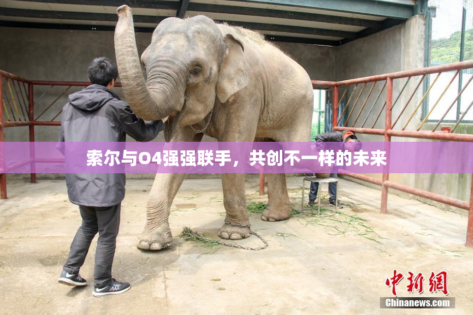 索尔与O4强强联手，共创不一样的未来